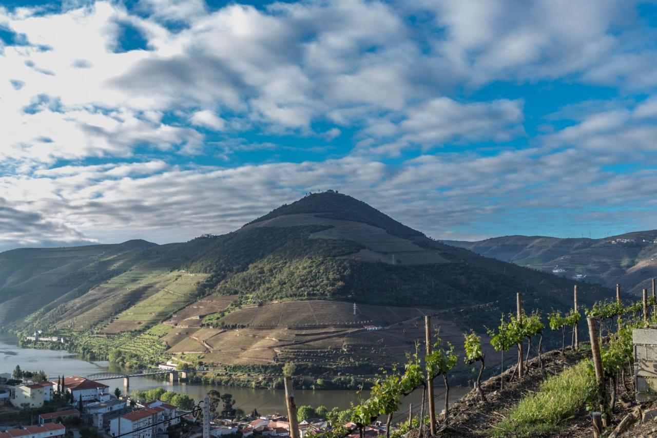 Bed and Breakfast Dois Lagares House Pinhão Zewnętrze zdjęcie